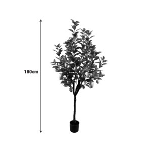 pak-316-000034-1 ΔΙΑΚΟΣΜΗΤΙΚΟ ΦΥΤΟ LEMON TREE ΣΕ ΓΛΑΣΤΡΑ INART ΠΡΑΣΙΝΟ PP Υ180ΕΚ
