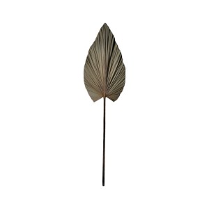 pak-335-000015 ΔΙΑΚΟΣΜΗΤΙΚΟ ΦΥΛΛΟ LEAFEN I PAKOWORLD ΦΥΣΙΚΟ PALM LEAF 130ΕΚ