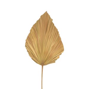 pak-343-000115-1 ΔΙΑΚΟΣΜΗΤΙΚΟ ΦΥΛΛΟ WALSY INART PALM LEAF ΣΕ ΦΥΣΙΚΗ ΑΠΟΧΡΩΣΗ Υ135 ΕΚ