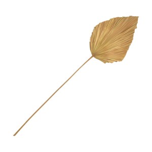 pak-343-000115 ΔΙΑΚΟΣΜΗΤΙΚΟ ΦΥΛΛΟ WALSY INART PALM LEAF ΣΕ ΦΥΣΙΚΗ ΑΠΟΧΡΩΣΗ Υ135 ΕΚ