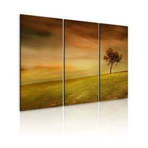 pol-030212-21-eb10 ΠΙΝΑΚΑΣ - A LONELY TREE ON A MEADOW - 60X40