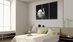 pol-030216-12-ebvis20_1 ΠΙΝΑΚΑΣ - A LONELY WHITE SWAN - 60X40
