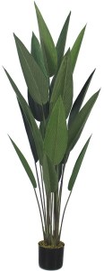 pol-032206 ΔΙΑΚΟΣΜΗΤΙΚΟ ΦΥΤΟ PARADISE BIRD ΣΕ ΓΛΑΣΤΡΑ 160