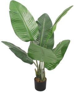pol-032213 ΔΙΑΚΟΣΜΗΤΙΚΟ ΦΥΤΟ BANANA PEVA ΣΕ ΓΛΑΣΤΡΑ -120