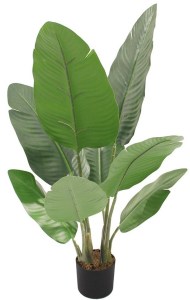 pol-032214 ΔΙΑΚΟΣΜΗΤΙΚΟ ΦΥΤΟ BANANA PEVA ΣΕ ΓΛΑΣΤΡΑ -120