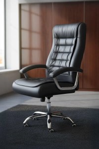 pol-162883449 ΚΑΡΕΚΛΑ ΔΙΕΥΘΥΝΤΙΚΗ VIRIDIAN-MAURO