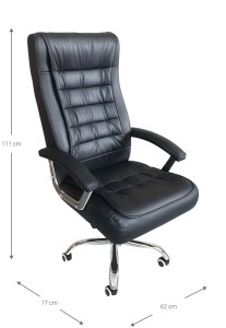 pol - 162883449 ΚΑΡΕΚΛΑ ΔΙΕΥΘΥΝΤΙΚΗ VIRIDIAN-MAURO