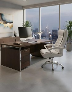 pol - 162883459 ΚΑΡΕΚΛΑ ΔΙΕΥΘΥΝΤΙΚΗ VIRIDIAN-LEUKO