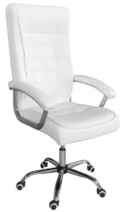 pol-162883459 ΚΑΡΕΚΛΑ ΔΙΕΥΘΥΝΤΙΚΗ VIRIDIAN-LEUKO