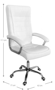 pol - 162883459 ΚΑΡΕΚΛΑ ΔΙΕΥΘΥΝΤΙΚΗ VIRIDIAN-LEUKO