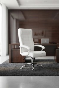 pol-162883459 ΚΑΡΕΚΛΑ ΔΙΕΥΘΥΝΤΙΚΗ VIRIDIAN-LEUKO