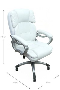 pol - 162883489 ΚΑΡΕΚΛΑ ΔΙΕΥΘΥΝΤΙΚΗ CERULEAN-LEUKO