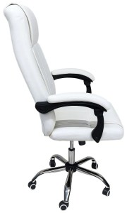 pol-162883549 ΚΑΡΕΚΛΑ ΔΙΕΥΘΥΝΤΙΚΗ BLACKTHORN-LEUKO