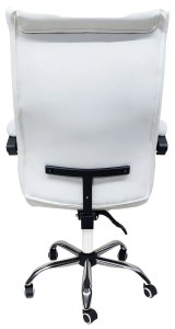 pol-162883549 ΚΑΡΕΚΛΑ ΔΙΕΥΘΥΝΤΙΚΗ BLACKTHORN-LEUKO