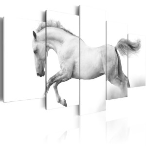 pol-a1-n1401_1 ΠΙΝΑΚΑΣ - HORSE- PASSION AND FREEDOM 100X50