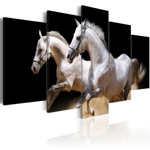 pol-a1-n1525-dkx_1 ΠΙΝΑΚΑΣ - GALLOP- FREEDOM AND POWER 200X100