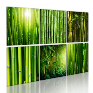 pol-a1-n1604_1 ΠΙΝΑΚΑΣ - BAMBOO HAS MANY FACES 60X40