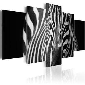 pol-a1-n3135-dkx_1 ΠΙΝΑΚΑΣ - ZEBRA LOOK 200X100