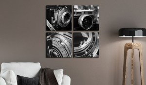 pol-a1-n5646_2_1 ΠΙΝΑΚΑΣ - VINTAGE CAMERAS 40X40