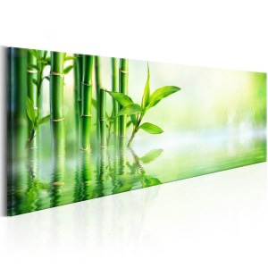 pol-a1-n6567-dk150_1 ΠΙΝΑΚΑΣ - GREEN BAMBOO 150X50