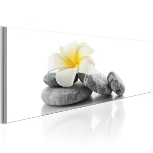 pol-a1-n6570-dkx_1 ΠΙΝΑΚΑΣ - WHITE LOTUS 135X45