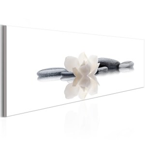 pol-a1-n6571-dkx_1 ΠΙΝΑΚΑΣ - SPA, BEAUTY AND RELAXATION 135X45