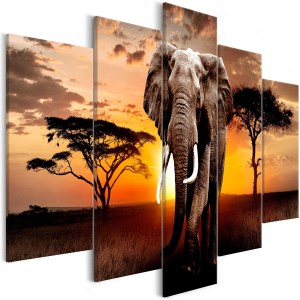 pol-a1-n7049-dkxxl_1 ΠΙΝΑΚΑΣ - WANDERING ELEPHANT (5 PARTS) WIDE 225X100