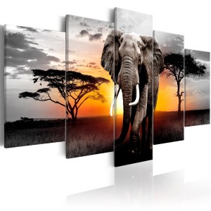 pol-a1-n7050-dk_1 ΠΙΝΑΚΑΣ - ELEPHANT AT SUNSET 200X100