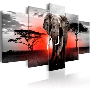 pol-a1-n7051_1 ΠΙΝΑΚΑΣ - LONELY ELEPHANT 100X50