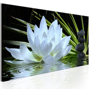 pol-a1-n7850-dk150_1 ΠΙΝΑΚΑΣ - ZEN GARDEN (1 PART) NARROW 150X50