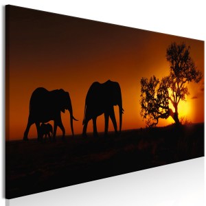 pol-a1-n7894-dk150_1 ΠΙΝΑΚΑΣ - ELEPHANT FAMILY (ORANGE) 150X50