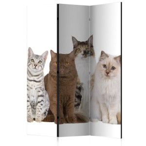 pol-a1-paravent1080_1 ΔΙΑΧΩΡΙΣΤΙΚΟ ΜΕ 3 ΤΜΗΜΑΤΑ - SWEET CATS [ROOM DIVIDERS] 135X172