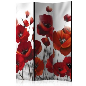 pol-a1-paravent461_1 ΔΙΑΧΩΡΙΣΤΙΚΟ ΜΕ 3 ΤΜΗΜΑΤΑ - POPPIES IN THE MOONLIGHT [ROOM DIVIDERS] 135X172