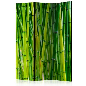pol-a1-paravent993_1 ΔΙΑΧΩΡΙΣΤΙΚΟ ΜΕ 3 ΤΜΗΜΑΤΑ - BAMBOO FOREST [ROOM DIVIDERS] 135X172