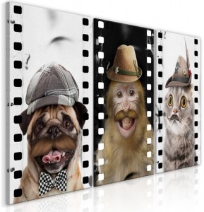 pol-g-a-0165-b-e-eb1 ΠΙΝΑΚΑΣ - FUNNY PETS (COLLECTION) - 120X60