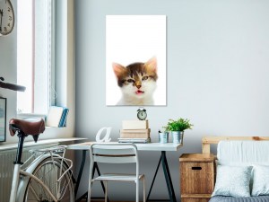 pol-g-b-0100-b-a-w_1 ΠΙΝΑΚΑΣ - VEXED CAT (1 PART) VERTICAL - 60X90