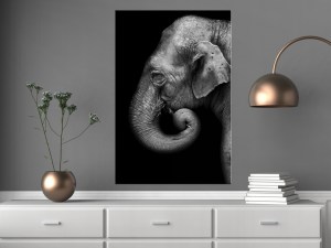 pol-g-b-0109-b-a-w_1 ΠΙΝΑΚΑΣ - PORTRAIT OF ELEPHANT (1 PART) VERTICAL - 60X90