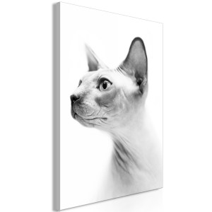 pol-g-b-0111-b-a-eb1 ΠΙΝΑΚΑΣ - HAIRLESS CAT (1 PART) VERTICAL - 40X60