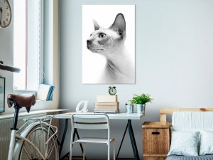 pol-g-b-0111-b-a-w_1 ΠΙΝΑΚΑΣ - HAIRLESS CAT (1 PART) VERTICAL - 80X120