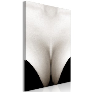 pol-h-a-0120-b-a-eb1_1 ΠΙΝΑΚΑΣ - CLEAVAGE (1 PART) VERTICAL - 80X120