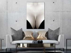 pol-h-a-0120-b-a-w_1 ΠΙΝΑΚΑΣ - CLEAVAGE (1 PART) VERTICAL - 80X120