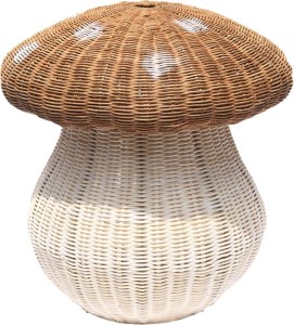 pol-mushroom- ΚΑΛΑΘΙ ΑΠΟΘΗΚΕΥΣΗΣ MUSHROOM
