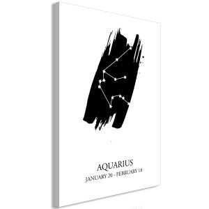 pol-n-a-0787-b-a-eb1 ΠΙΝΑΚΑΣ - ZODIAC SIGNS: AQUARIUS (1 PART) VERTICAL - 40X60