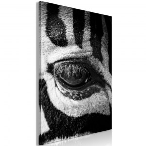 pol-n-a-0802-b-a-eb1 ΠΙΝΑΚΑΣ - ZEBRA EYE (1 PART) VERTICAL - 40X60