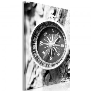 pol-n-a-0803-b-a-eb10 ΠΙΝΑΚΑΣ - BLACK AND WHITE COMPASS (1 PART) VERTICAL - 40X60