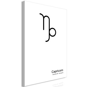 pol-n-a-0872-b-a-eb1 ΠΙΝΑΚΑΣ - CAPRICORN (1 PART) VERTICAL - 40X60