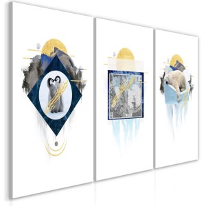 pol-n-c-0164-b-e-eb1_1 ΠΙΝΑΚΑΣ - ANTARCTICA (COLLECTION) - 60X30