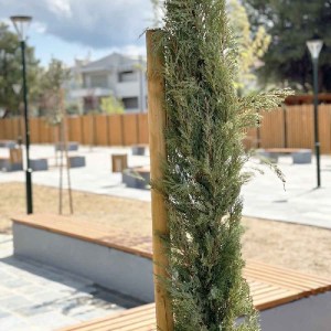 shw-05200-14648 ΞΥΛΙΝΟΣ ΠΑΣΣΑΛΟΣ Ø5ΕΚ. Ø5 X 200ΕΚ. | ΜΕ ΜΥΤΗ