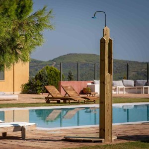 shw-10-99795-12110 ΝΤΟΥΖΙΕΡΑ ΠΑΡΑΛΙΑΣ ΝΤΟΥΖΙΕΡΑ ΞΥΛΙΝΗ / ΠΑΡΑΛΙΑΣ 241ΕΚ.(Υ) X ∅100ΕΚ.