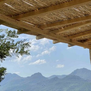 shw-200300-12831 ΚΑΛΑΜΙ ΟΛΟΚΛΗΡΟ ΔΙΕΤΕΣ Ø20-25ΜΜ Ø20-25ΕΚ. | 200(Υ) X 300ΕΚ.